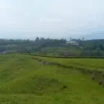 Vista terrestre