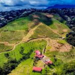 Finca Eje Cafetero